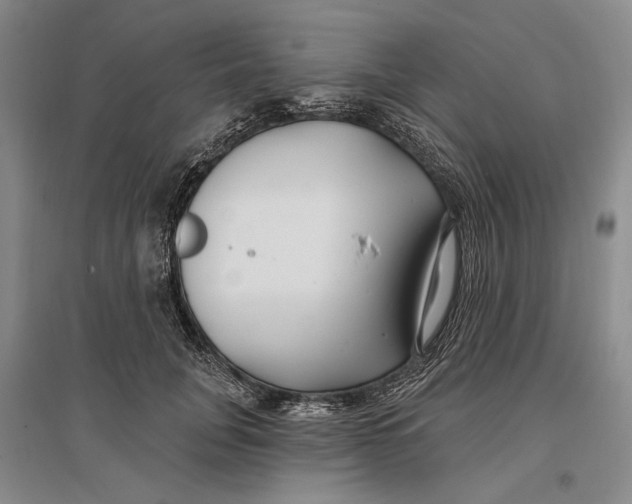 X0000096990751200802291209