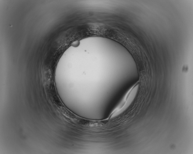 X0000096990752200802291209