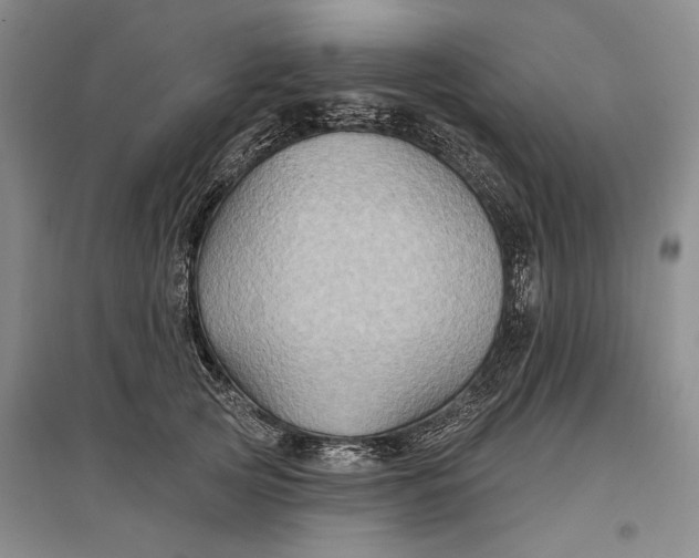 X0000096990753200802291209