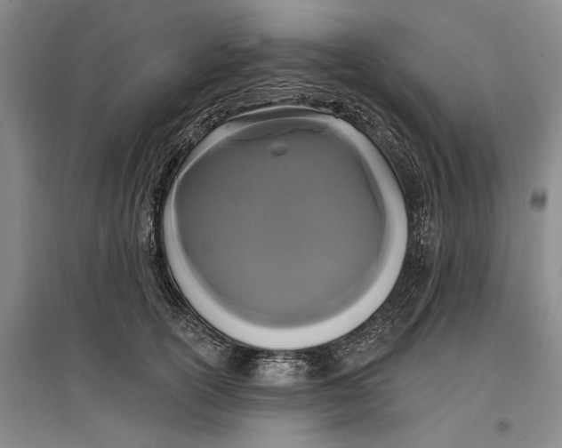 X0000096990754200802291209