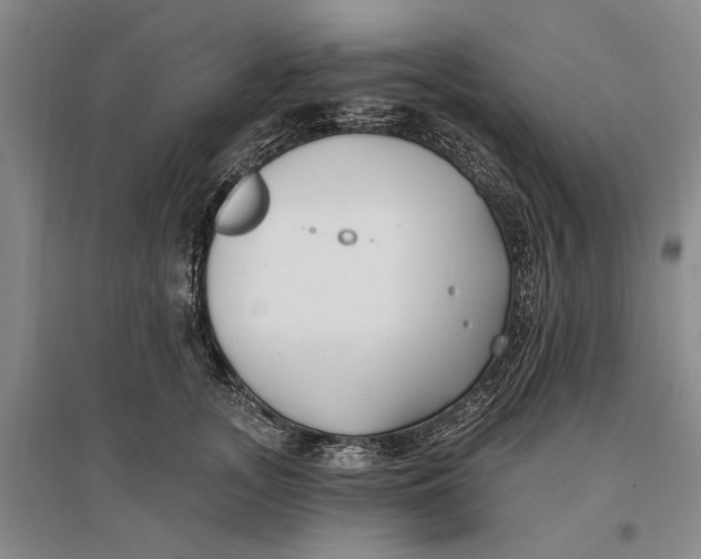 X0000096990755200802291209