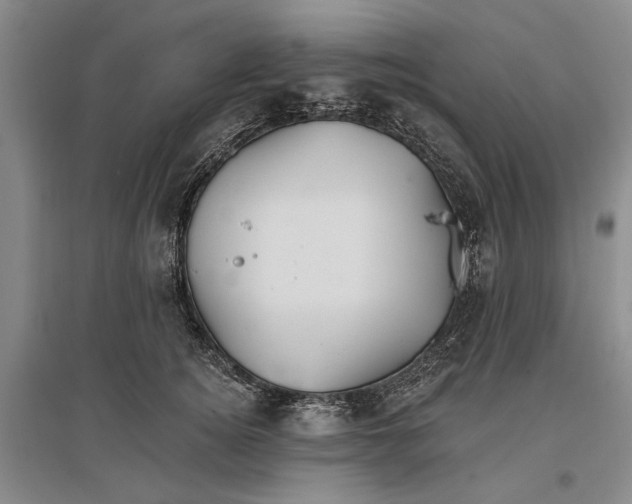 X0000096990756200802291209