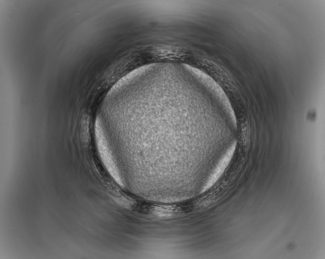 X0000096990757200802291209