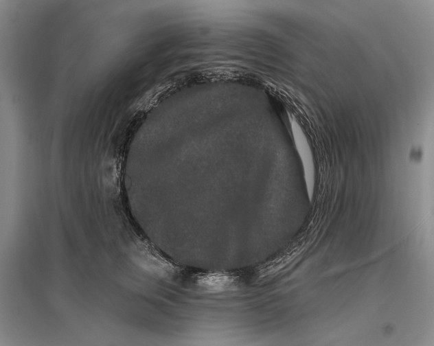 X0000096990759200802291209