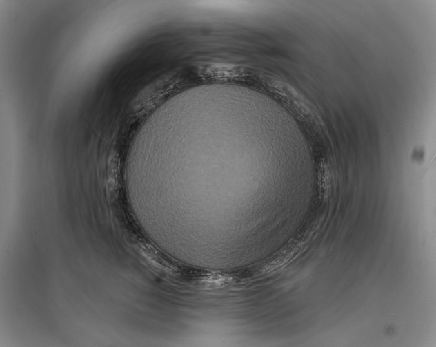 X0000096990760200802291209