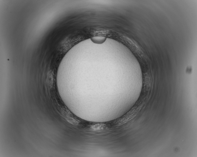 X0000096990761200802291209