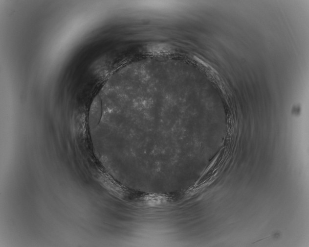 X0000096990762200802291209