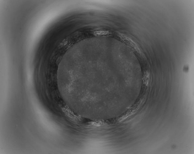 X0000096990763200802291209