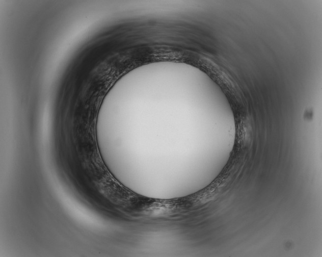 X0000096990764200802291209