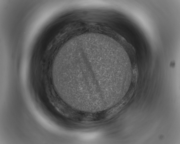 X0000096990765200802291209