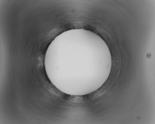 X0000096990768200802291209