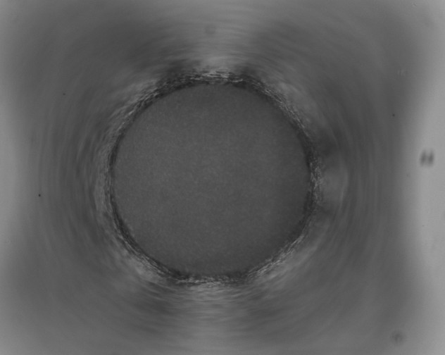 X0000096990769200802291208