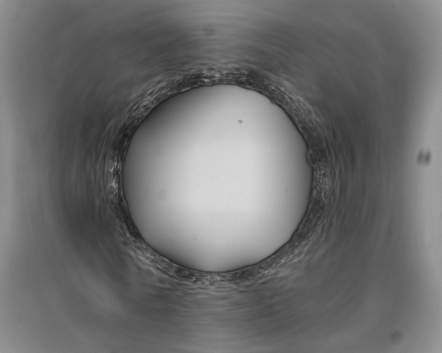 X0000096990770200802291208