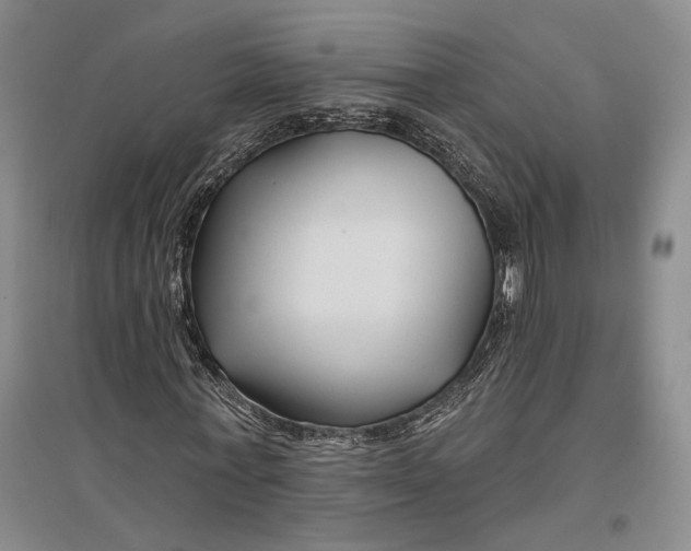 X0000096990771200802291208