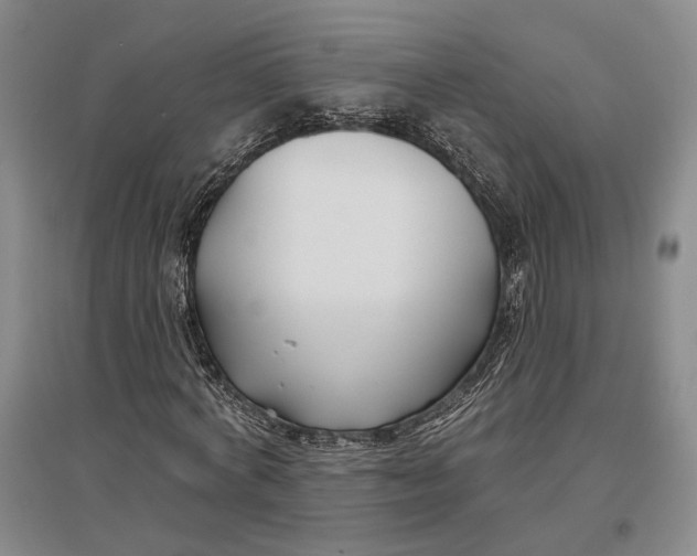 X0000096990772200802291208