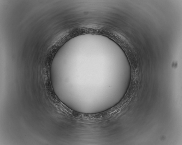 X0000096990774200802291208