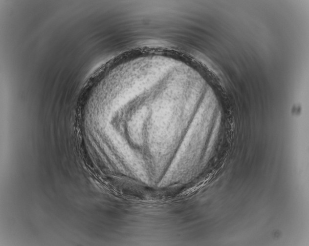 X0000096990775200802291208