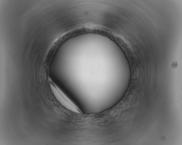 X0000096990776200802291208