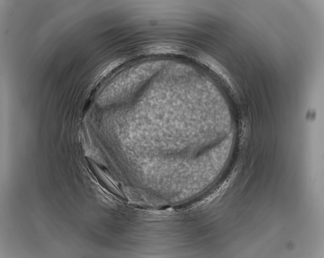 X0000096990777200802291208