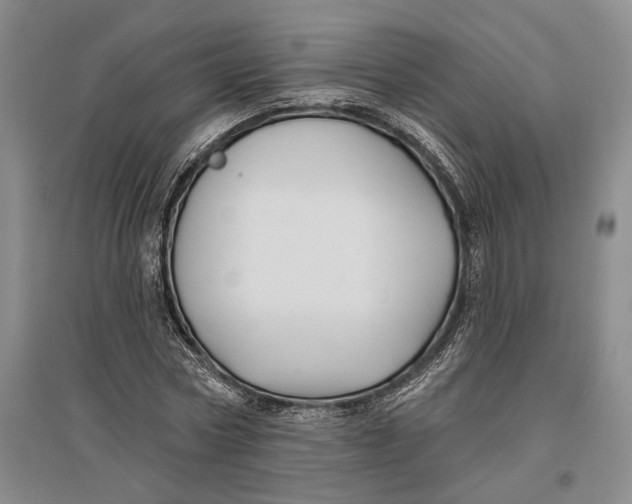 X0000096990778200802291208