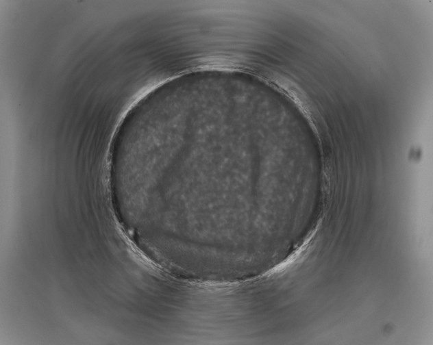 X0000096990779200802291208