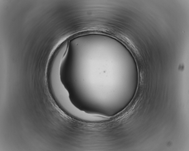 X0000096990780200802291208