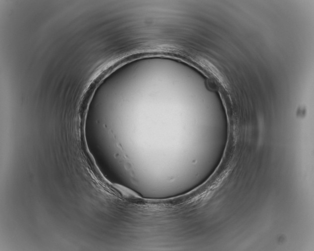 X0000096990781200802291208