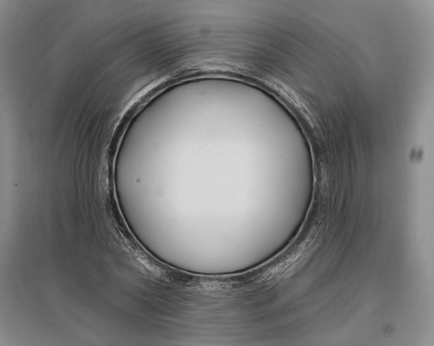 X0000096990782200802291208