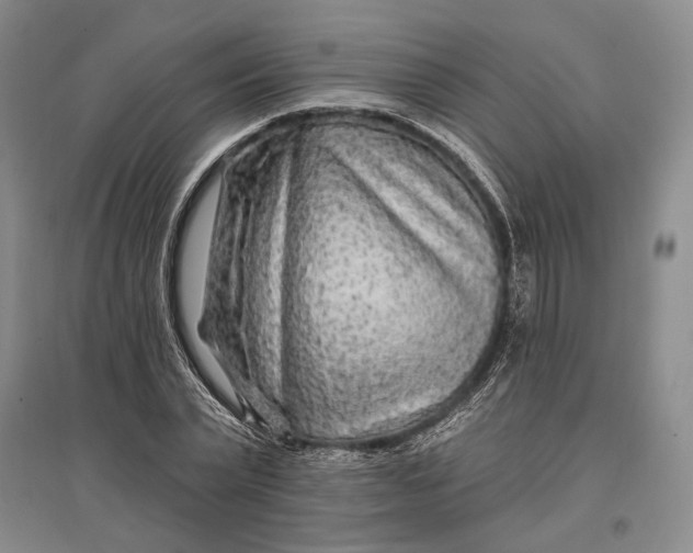 X0000096990783200802291208