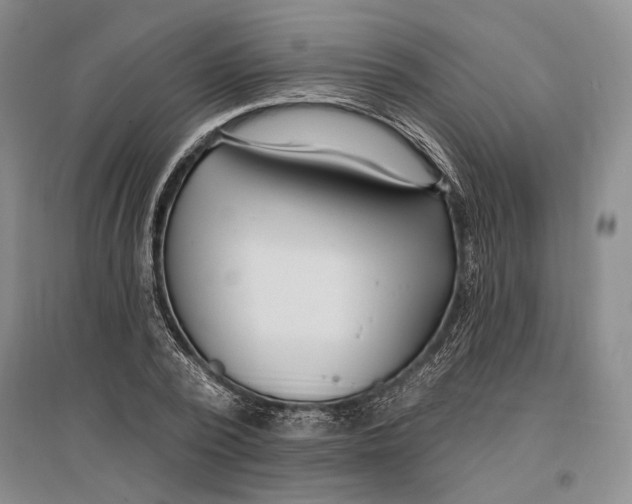 X0000096990784200802291208