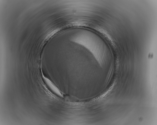 X0000096990785200802291208