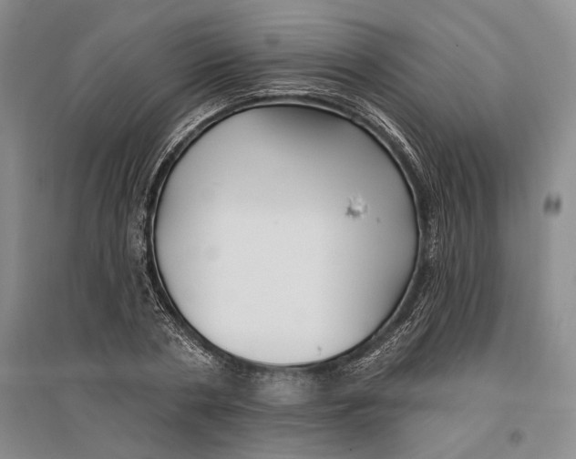 X0000096990786200802291208