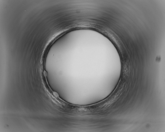 X0000096990787200802291208