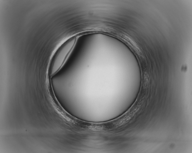 X0000096990788200802291208