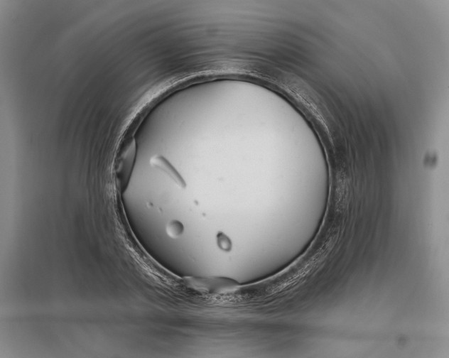 X0000096990789200802291208