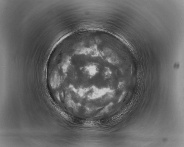 X0000096990790200802291208