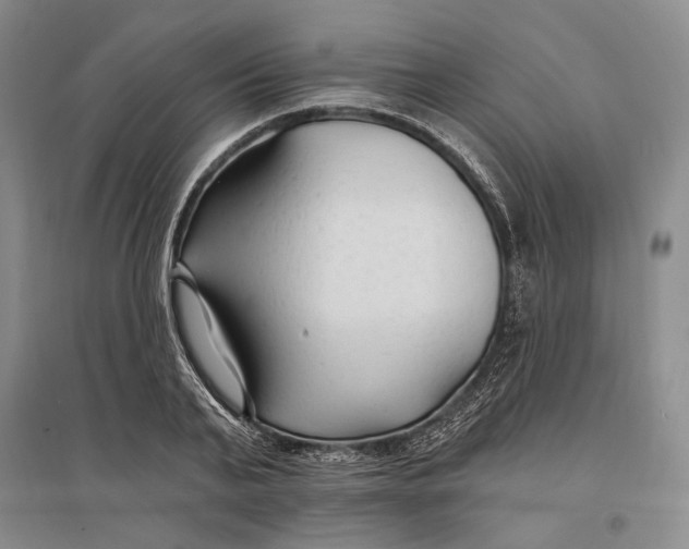 X0000096990791200802291208