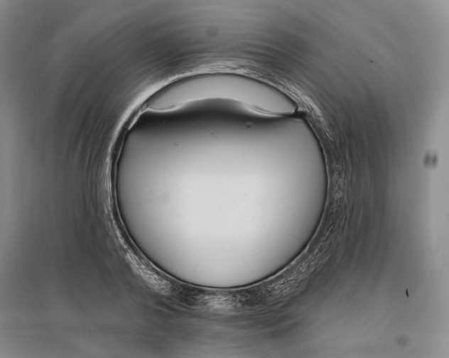 X0000096990792200802291208