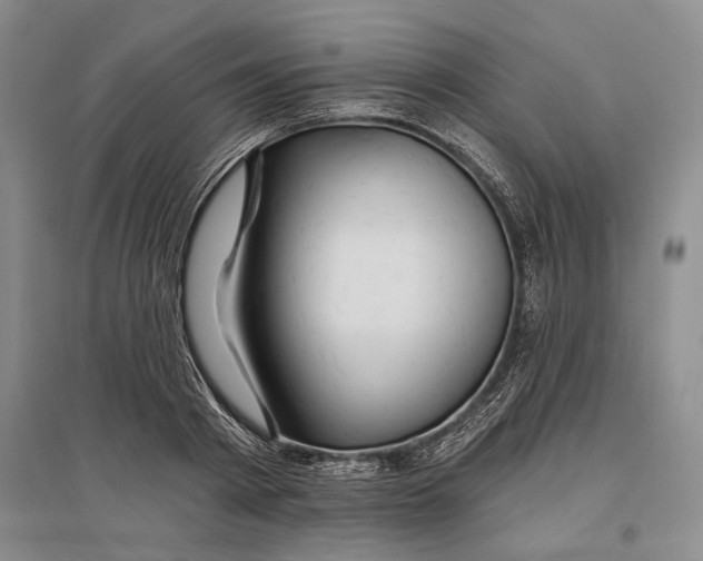 X0000096990793200802291208