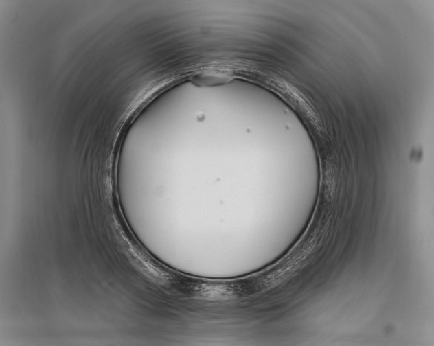 X0000096990794200802291208