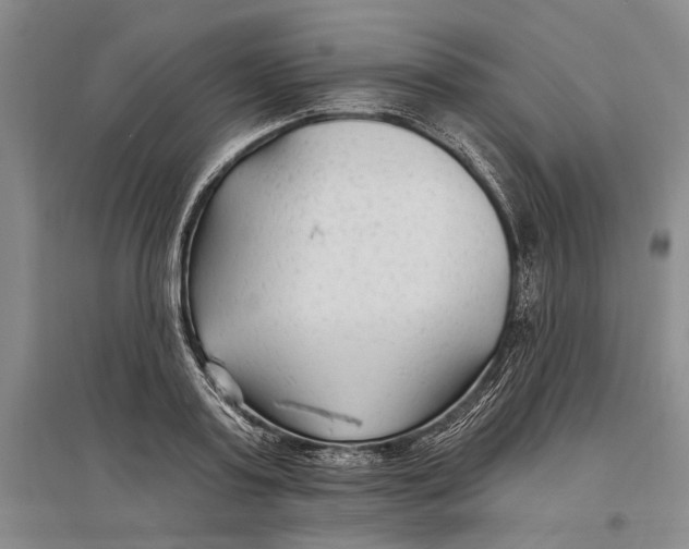 X0000096990795200802291208