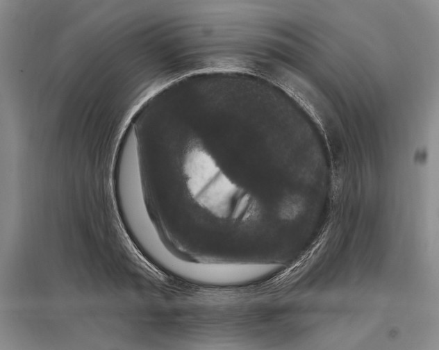 X0000096990797200802291208