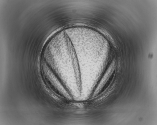 X0000096990798200802291208