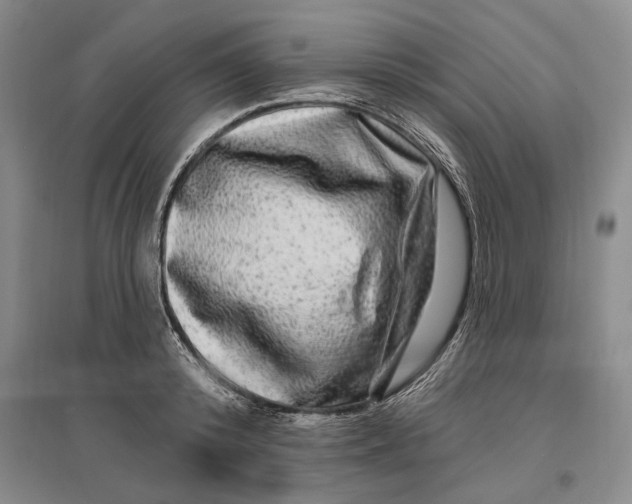 X0000096990800200802291208