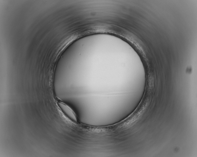 X0000096990801200802291208