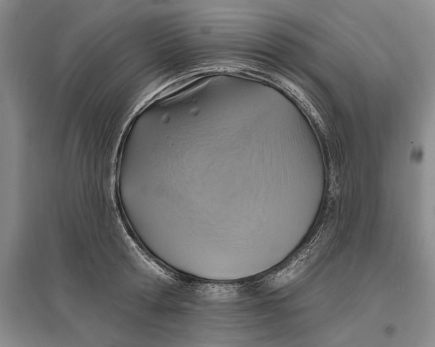 X0000096990802200802291208