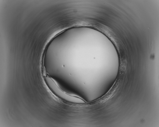 X0000096990803200802291208