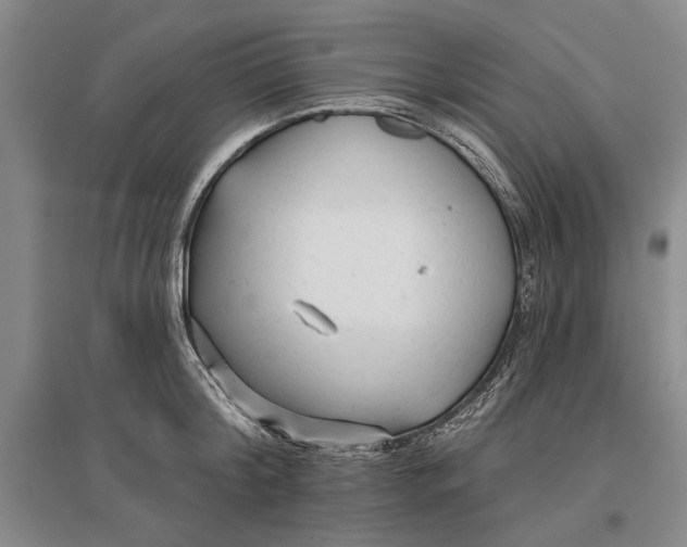 X0000096990804200802291208