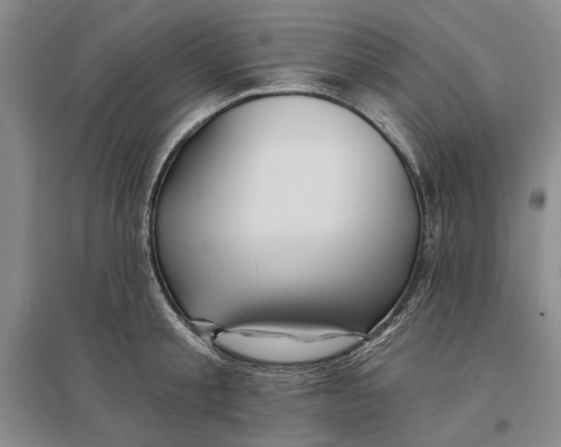 X0000096990805200802291208