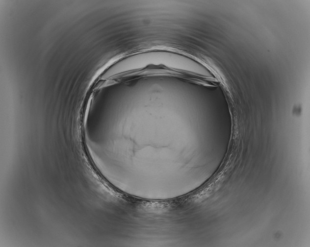 X0000096990806200802291208